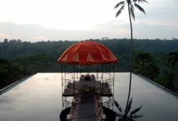Bali 21