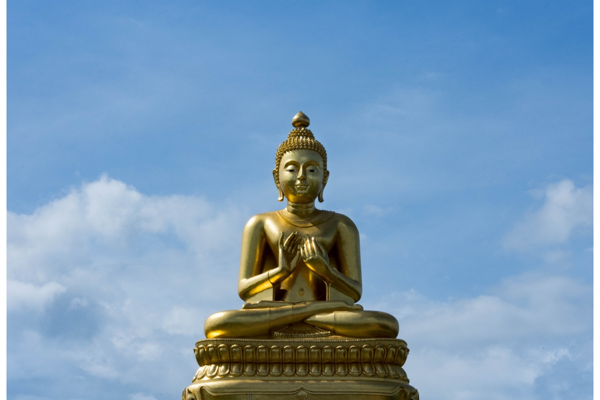 Bodhi 002