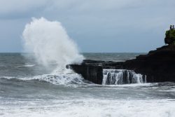 DSC_1061