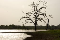 DSC_1574.jpg