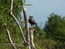 DSC_1637.jpg