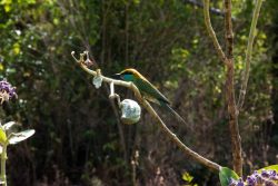 DSC_1676.jpg
