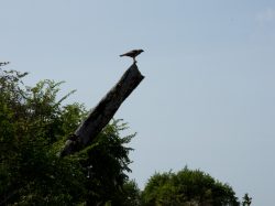 DSC_1706.jpg