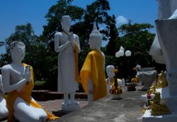 DSC_2138.jpg