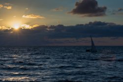 DSC_2464.jpg