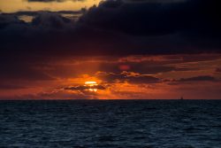 DSC_2558.jpg