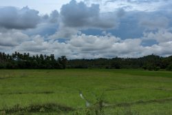 DSC_2676