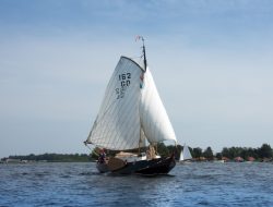 DSC_2896.jpg