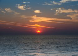 DSC_3008.jpg