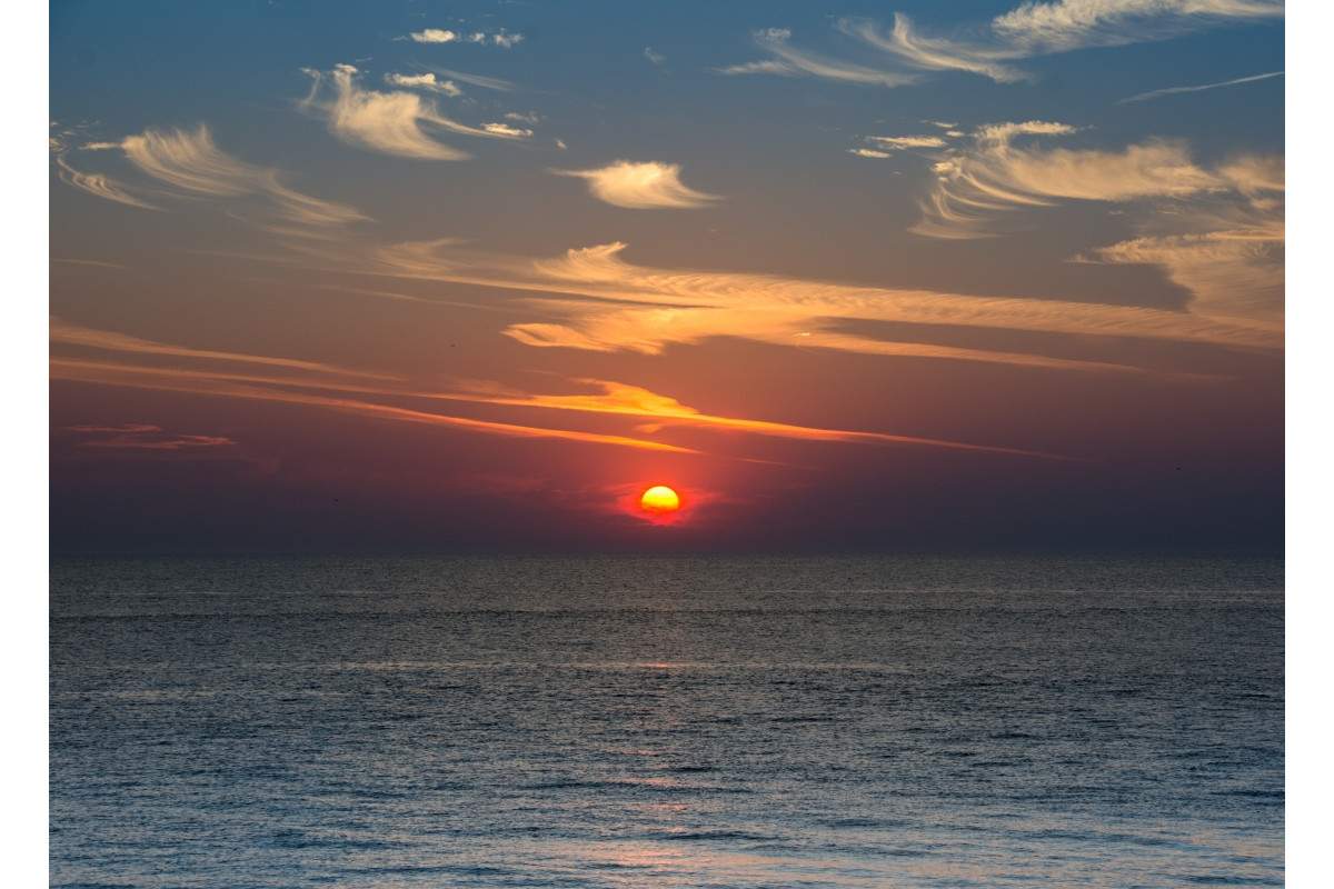 DSC_3008.jpg
