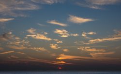 DSC_3062.jpg