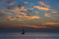 DSC_3142.jpg