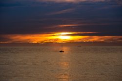 DSC_3322.jpg
