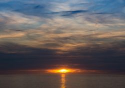DSC_3379.jpg