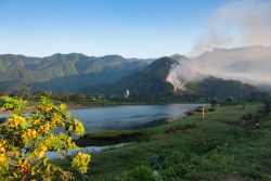 DSC_3403