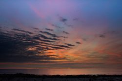 DSC_3515.jpg