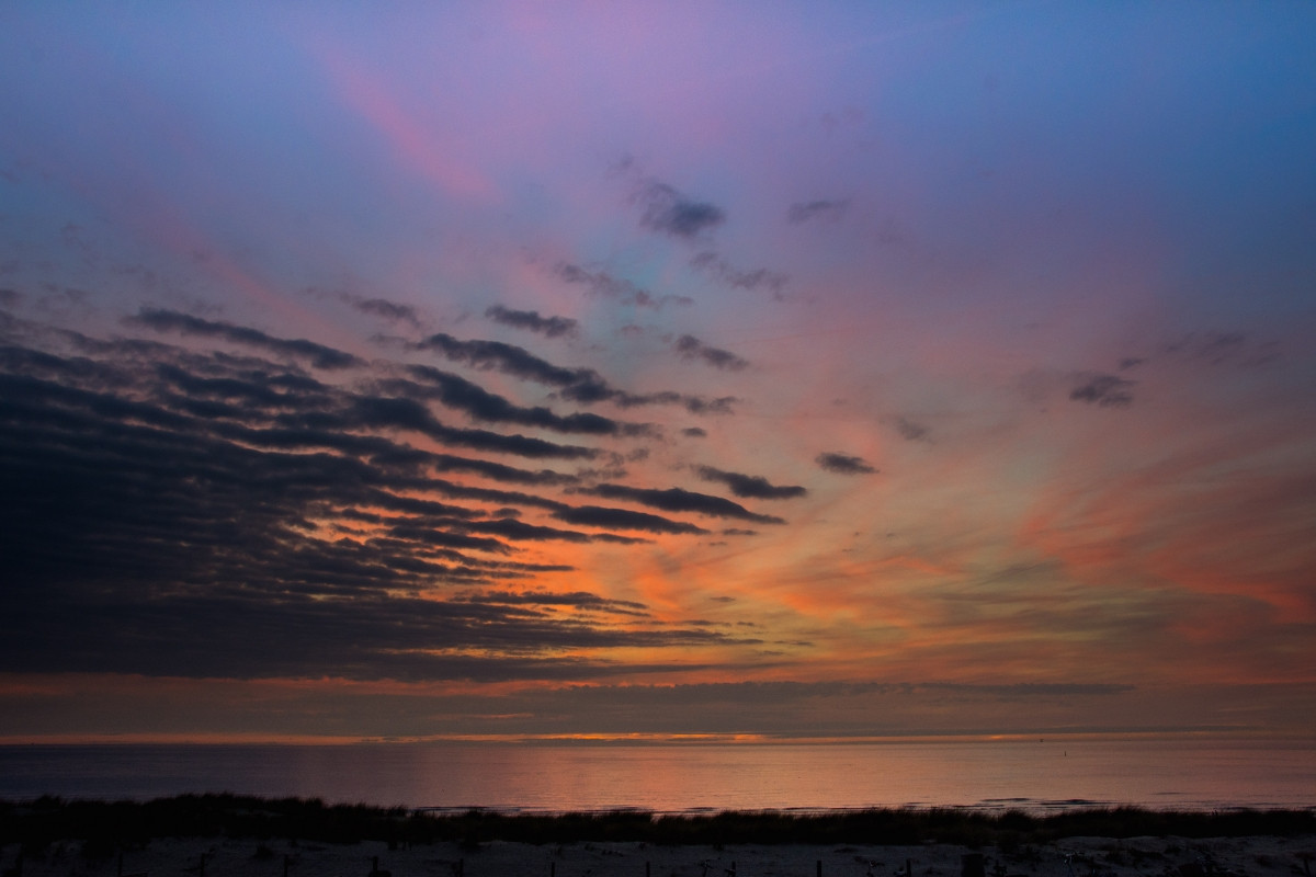 DSC_3515.jpg