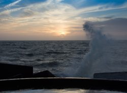 DSC_3563.jpg