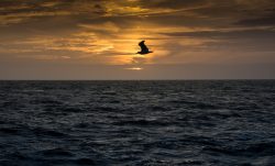 DSC_3595.jpg