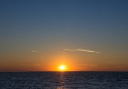 DSC_4006.jpg