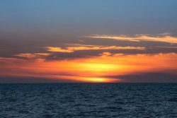 DSC_4146.jpg