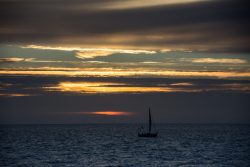 DSC_4289.jpg