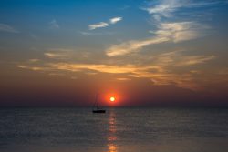 DSC_4564.jpg