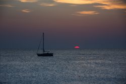 DSC_4696.jpg