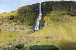 DSC_5043