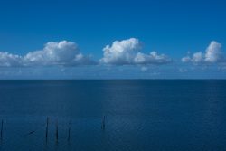 DSC_5257.jpg