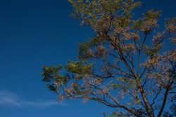DSC_5306