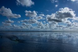 DSC_5362.jpg
