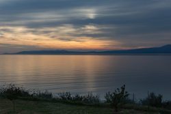 DSC_5387