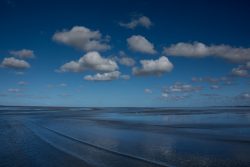 DSC_5392.jpg