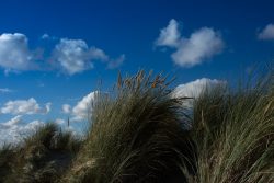 DSC_5536.jpg