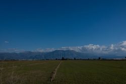 DSC_5540