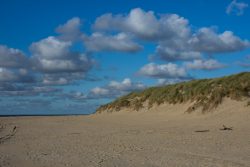 DSC_5557.jpg