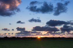 DSC_5637.jpg