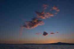 DSC_5660