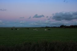 DSC_5683.jpg
