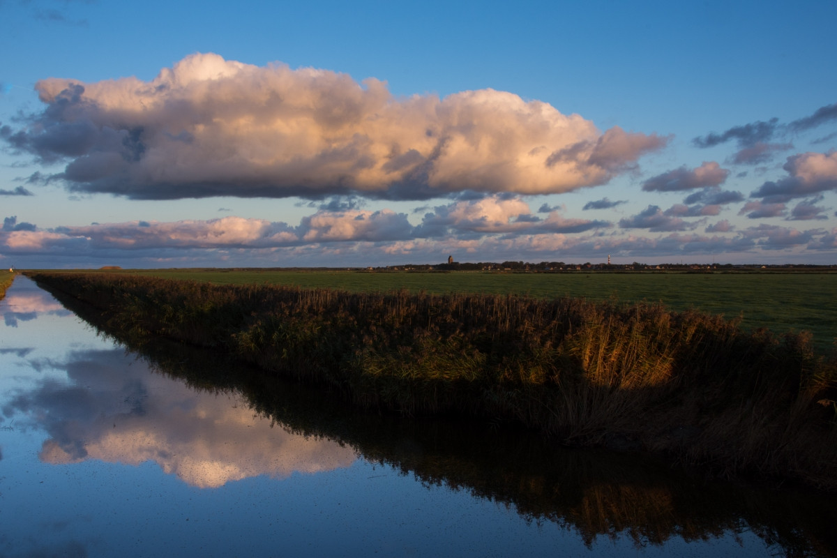 DSC_5803.jpg