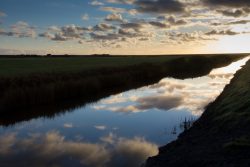 DSC_5814.jpg