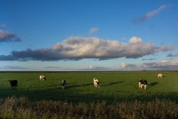 DSC_5851.jpg
