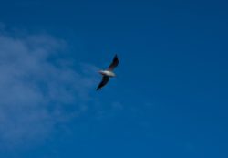 DSC_5965.jpg
