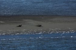 DSC_6016.jpg