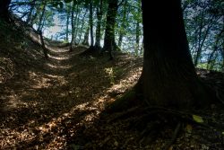 DSC_6318.jpg