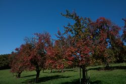 DSC_6346.jpg