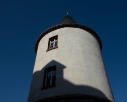 DSC_6367.jpg