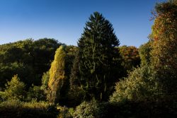 DSC_6421.jpg