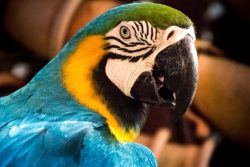 DSC_6911.jpg